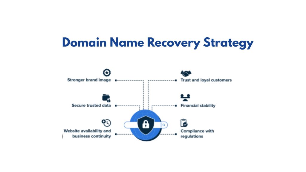 Domain Name Recovery Strategy
