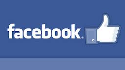 Facebook Fan Page Logo