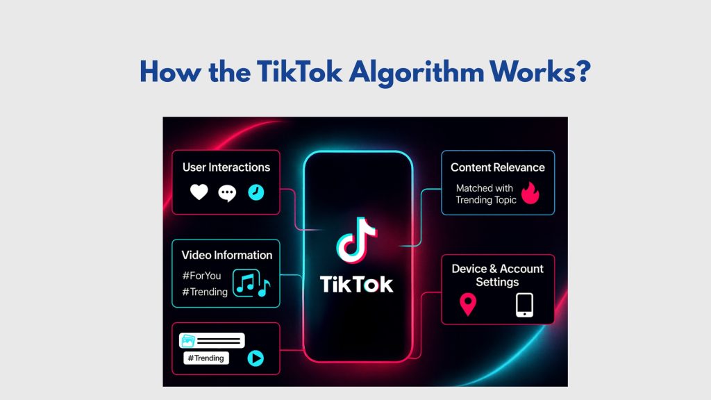 How the TikTok Algorithm Works?