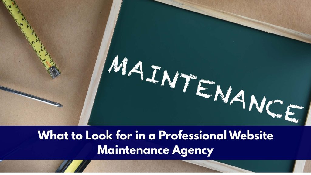 What to Look for in a Professional Website Maintenance Agency