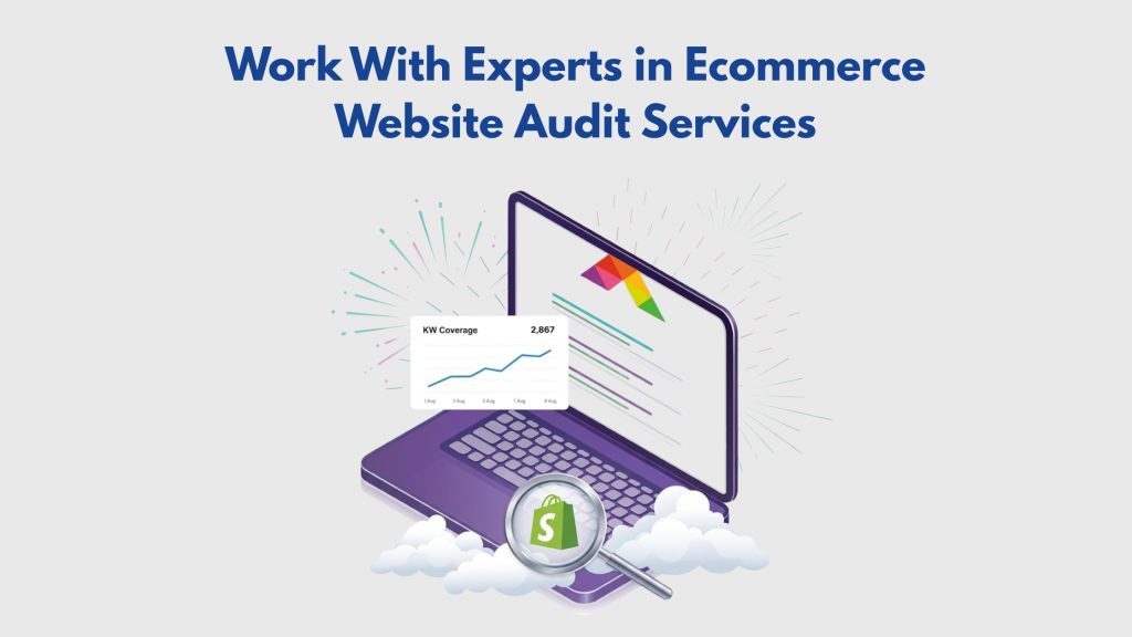Work With Experts in Ecommerce Website Audit Services