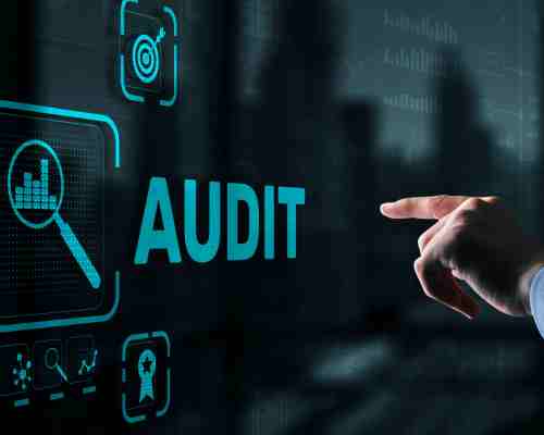 SEO Audit Insights