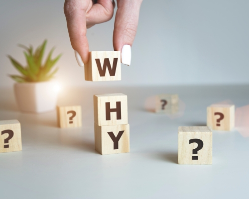 Houston Businesses Website Planner