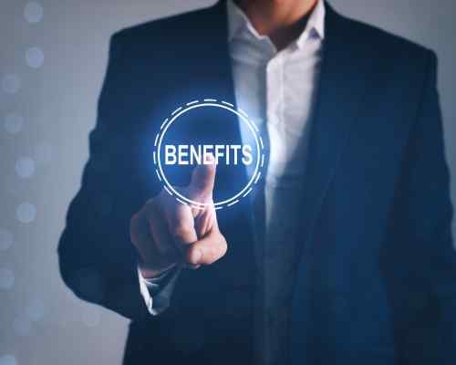 Benefits of WordPress SEO Partner